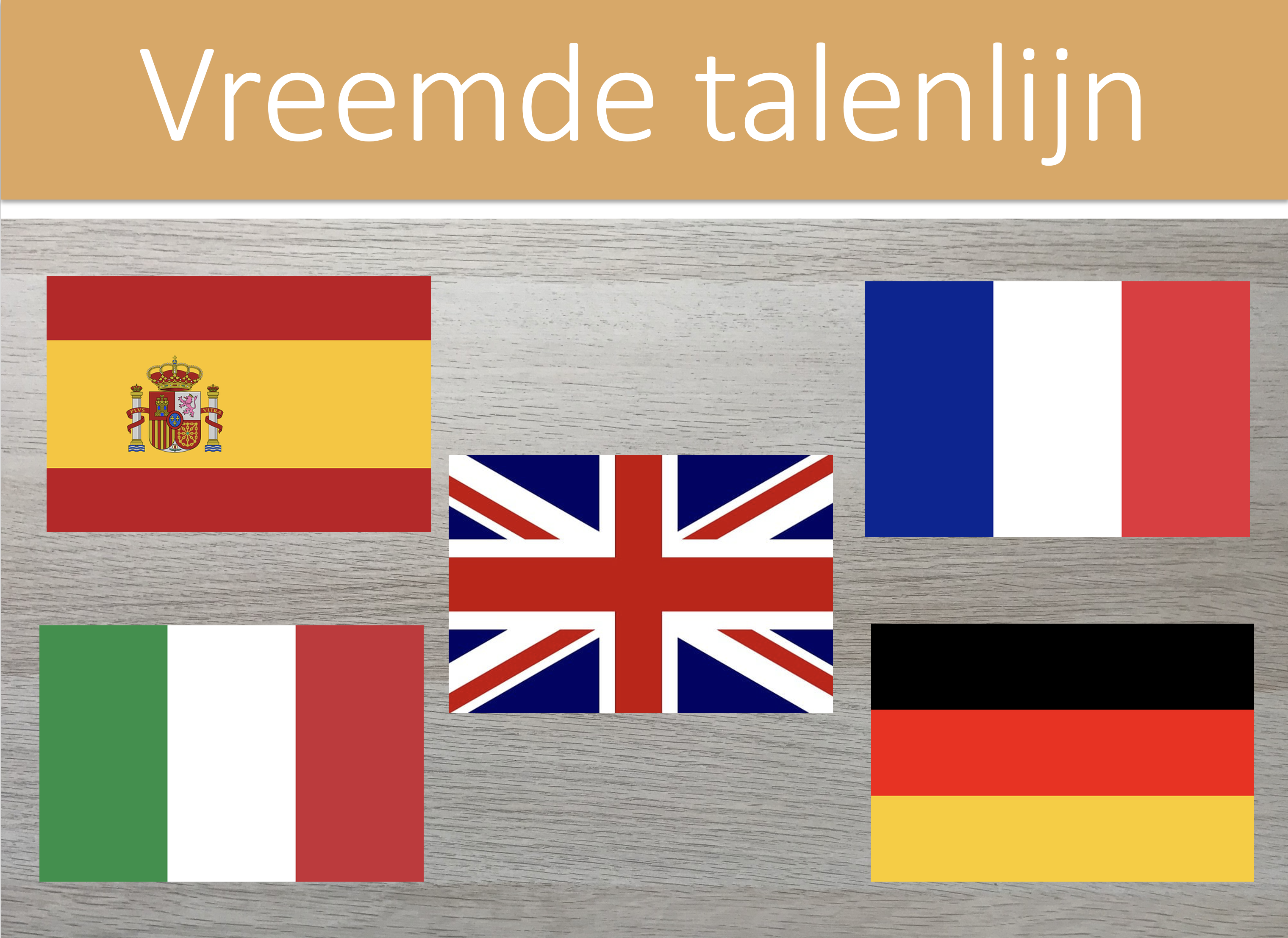 TN vreemde talenlijn